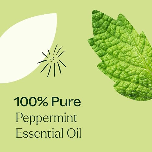 Plant Therapy Peppermint Essential Oil - Promotes Clarity & Digestion, 100% Pure - 10 mL