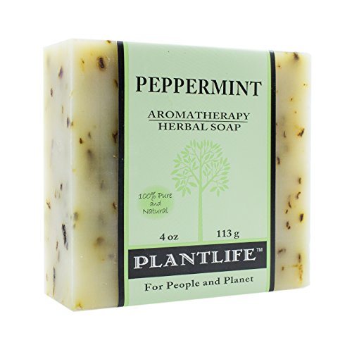 Plantlife Peppermint Bar Soap - Moisturizing, Handcrafted with Plant-Based Ingredients - 4oz