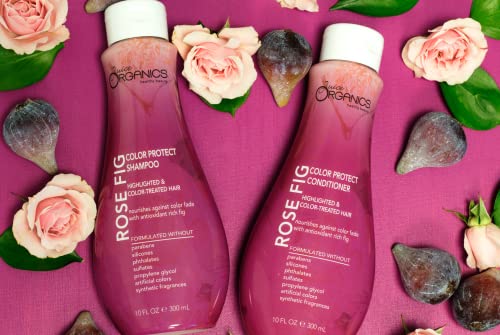 Juice Organics Rose Fig Shampoo - Protects Color Fade, Enhances Shine, Antioxidant Rich - 10 fl oz