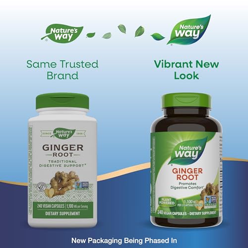 Nature's Way Ginger Root Supplement - Promotes Digestive Comfort, Non-GMO, Vegan - 240 Capsules