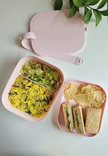 W&P Porter Bento Lunch Box - 3 Compartments for Fresh Meals, BPA-Free, Blush - Medium