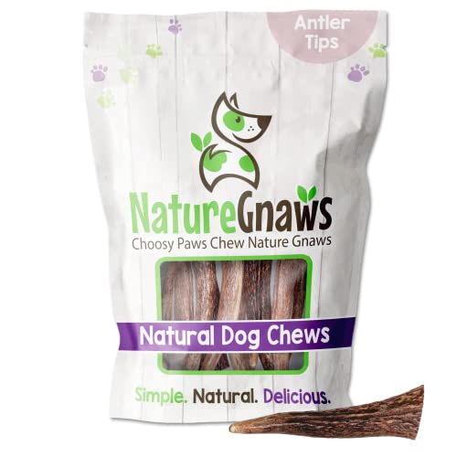 Nature Gnaws Dog Treats - Promotes Dental Health, Natural Antler Chew for Small Dogs - 1lb