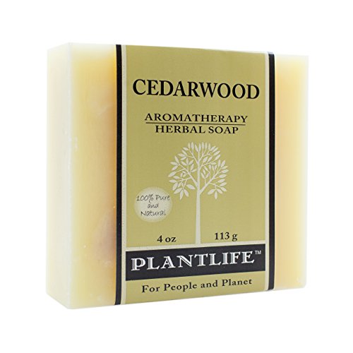 Plantlife Cedarwood Bar Soap - Moisturizing, Plant-Based Ingredients - 4oz Handcrafted in CA