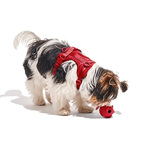 Wild One Dog Toy - Ultimate Fetch & Treat Holder, Natural Rubber, Dishwasher Safe - Strawberry