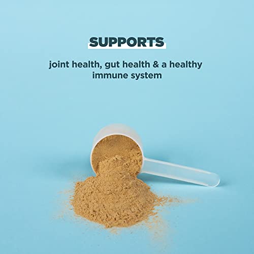 Ancient Nutrition Protein Powder - 20g Protein, Bone Broth Benefits, Gluten Free - 20 Servings