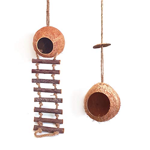 Rainforest Bowls Hanging Coconut Birdhouse Set - Natural Nesting for Birds, Handcrafted - 2 Pack