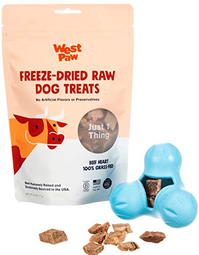 WEST PAW Dog Chew Toy & Puppy Treats Bundle - Durable, Nutrient-Rich, Made in USA - Aqua, Small