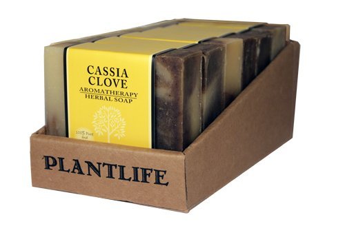 Plantlife Cassia Clove Soap Set - Moisturizing, Handcrafted with Essential Oils - 6 Bars, 4oz Each