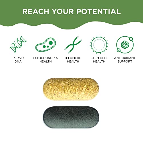 Healthycell AM PM Multivitamin - Boosts Energy & Sleep, 90+ Nutrients for Cell Health - 30 Servings