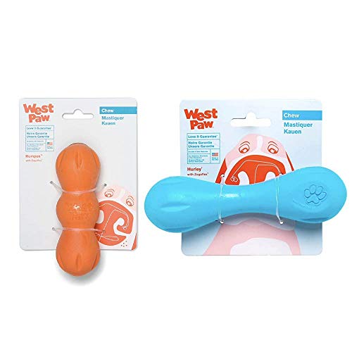 West Paw Rumpus & Hurley Dog Chew Toys - Tough, Floatable, Non-Toxic, Dishwasher Safe - Small