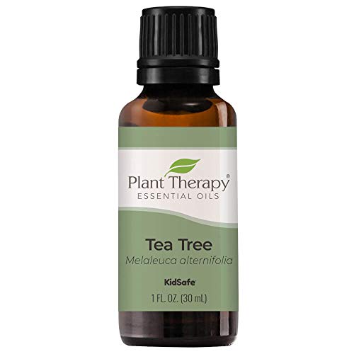 Plant Therapy Tea Tree Essential Oil - Soothes Skin, Purifies Air, Immune Support - 30 mL