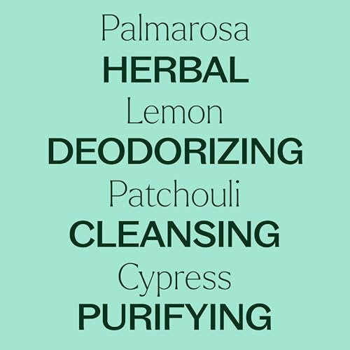 Plant Therapy Deodorizing Essential Oil Blend - Natural Odor Fighter, 100% Pure - 30 mL