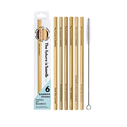 The Future is Bamboo Drinking Straw Set - Reusable, Biodegradable, Ideal for Smoothies - Pack of 6