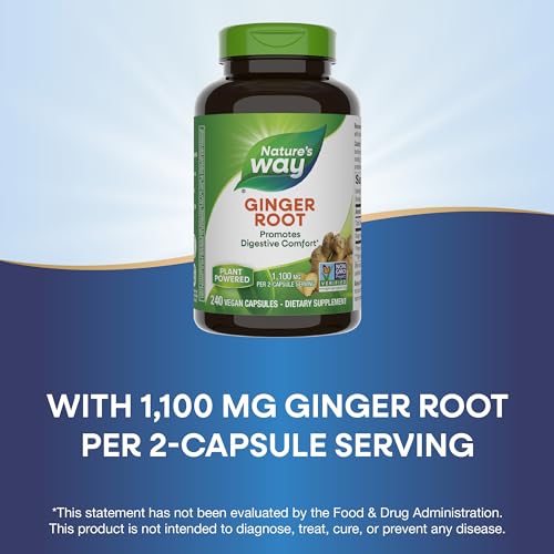 Nature's Way Ginger Root Supplement - Promotes Digestive Comfort, Non-GMO, Vegan - 240 Capsules