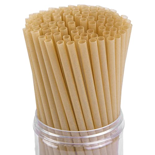 HANSGO Sugarcane Straws - 200 PCS Plastic-Free, Sturdy for Hot & Cold Drinks, 7.8" Long