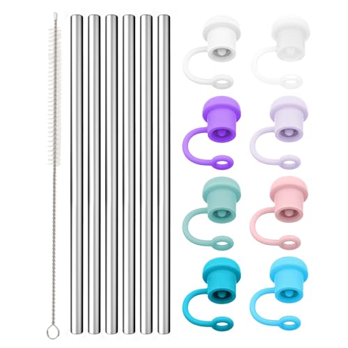 Stainless Steel Straw Set - Replace 500+ Plastic Straws, Food-Grade Material, 11.81" - 6 Pack