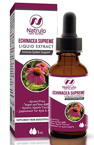 Echinacea Drops - Natural Immune Support for Kids & Adults, Alcohol-Free, Vegan - 1 oz