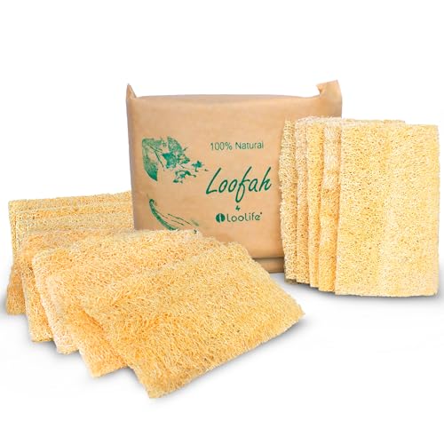 Natural Loofah Dish Sponge - Biodegradable, Chemical-Free, Multi-Purpose - XL 10 Pack