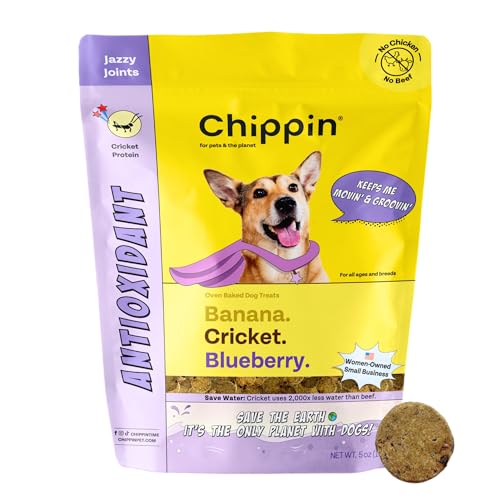 Chippin Blueberry Cricket Dog Treat - Natural Joint Health, Hypoallergenic, 5oz