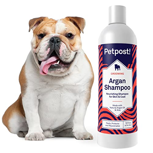 Petpost Dog Shampoo - Heals & Nourishes Dry Skin, Argan Oil & Aloe Formula - 16oz