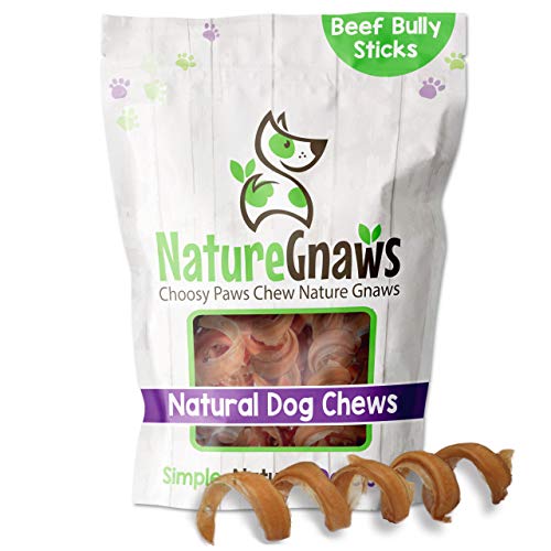 Nature Gnaws Dog Treats - Long Lasting Beef Chews, Rawhide-Free, Natural Dental Care - 6 Count