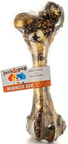 Jack&Pup Mammoth Dog Bone - Rich Flavor, Digestible, Grass-Fed Beef - 16" for Aggressive Chewers