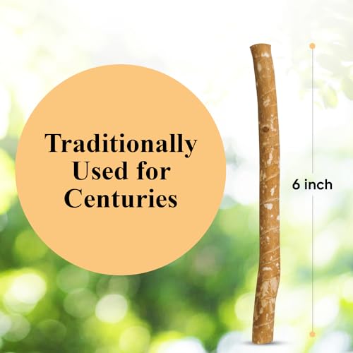 Sewak Al-Falah Miswak Toothbrush - Natural Cleaning, Soft Bristles, 10 Pack for Families