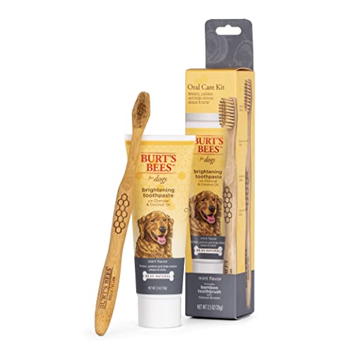 Burt's Bees for Pets Dog Toothpaste & Bamboo Brush - Brightens Teeth, Freshens Breath - 2.5oz