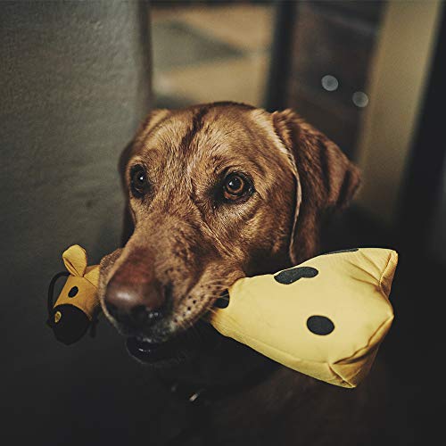 Beco George The Giraffe Dog Toy - Durable, Soft & Squeaky, Made from 100% Recycled Plastic - Medium