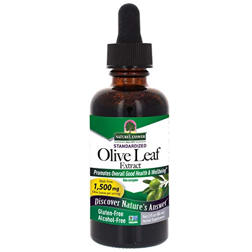 Nature's Answer Olive Leaf Extract - Alcohol-Free, Non-GMO, Vegan - 2oz Wellness Support