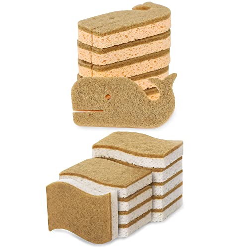 Foamstar Natural Dish Sponge - Powerful Scrubbing, Non-Toxic, Odor-Free - 10 Pack & 6 Pack