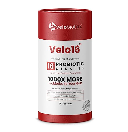 Velo16 Probiotic Supplement - Boosts Gut & Immune Health, 16 Strains & Prebiotic Fiber - 60 Caps