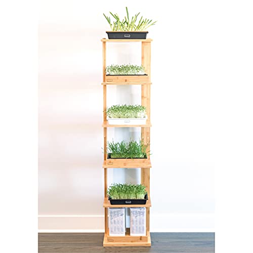 HAMAMA Bamboo Plant Stand - 6-Tier Seed Starter for Microgreens & Herbs, Space-Saving Design