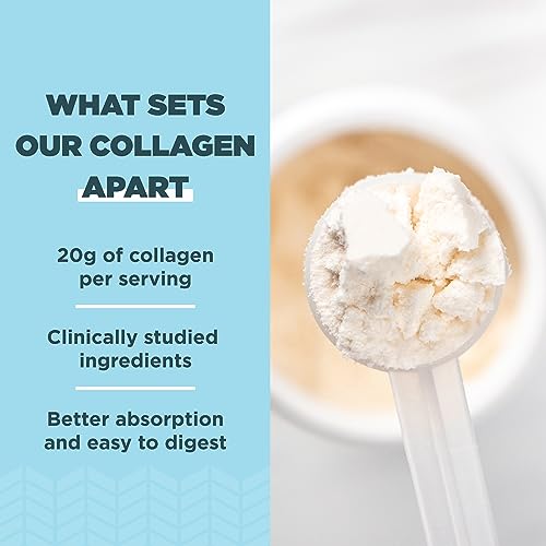 Ancient Nutrition Collagen Protein Powder - Supports Skin, Joints, Gut Health, Vanilla - 12 Servings