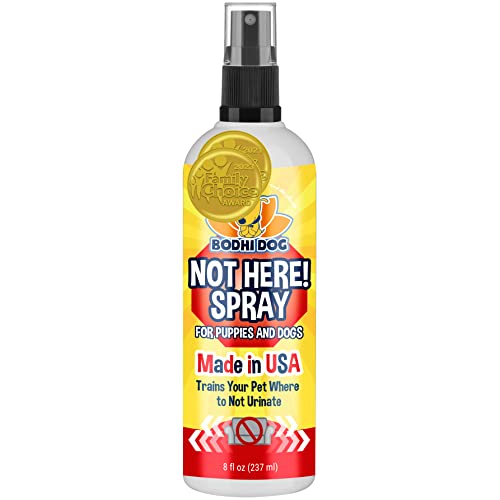 Bodhi Dog Not Here! Spray - Deters Pet Marking, Safe Ingredients, Indoor & Outdoor Use - 8oz