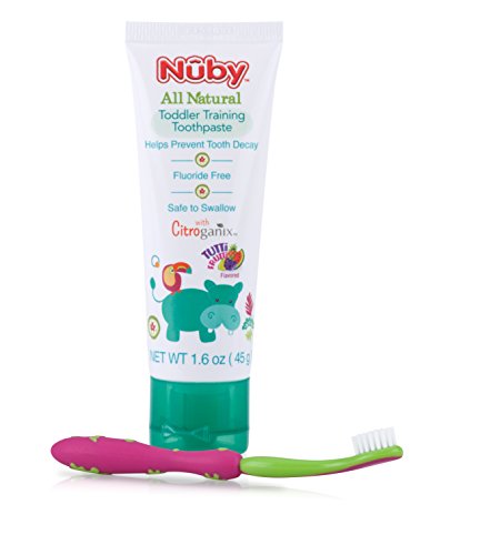 Dr. Talbot's Kids Toothpaste - Fluoride-Free, Safe to Swallow, Includes Toothbrush - 1.6oz