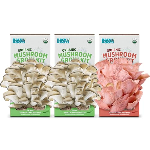 Back to the Roots Mushroom Grow Kit - Organic, Non-GMO, Harvest in 10 Days - 3-Pack