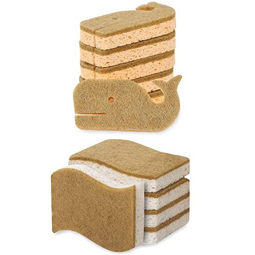 Foamstar Natural Dish Sponges - Non-Toxic, Odor-Free, Double-Sided Scrubbing Power - 5 & 6 Pack