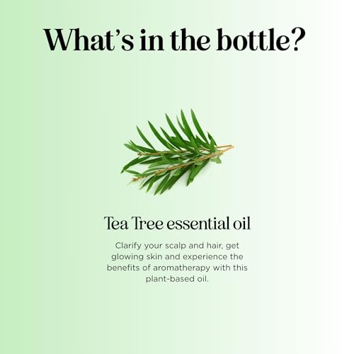 Maple Holistics Pure Tea Tree Essential Oil - Hydrating for Skin, Hair & Nails - 100% Pure