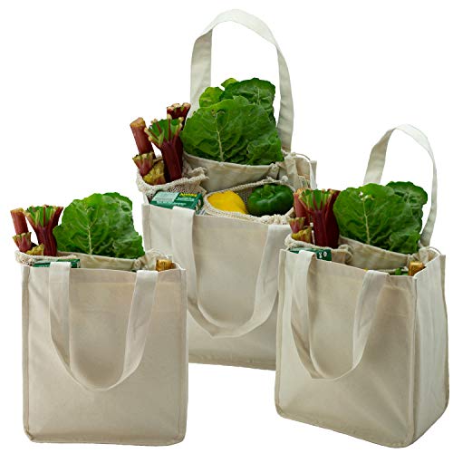 Simple Ecology Organic Cotton Tote Bag - Heavy-Duty, Rigid Bottom, 6 Bottle Sleeves - 3 Pack