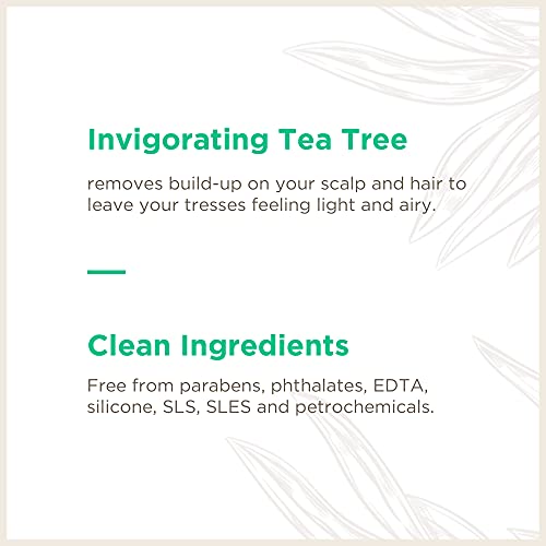 Soapbox Tea Tree Shampoo - Clarifying Formula, Promotes Scalp Health - 3.3oz Travel Size, 6 Ct