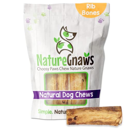 Nature Gnaws Dog Treats - Natural Beef Chews for Dental Health, Rawhide-Free - 5 Count