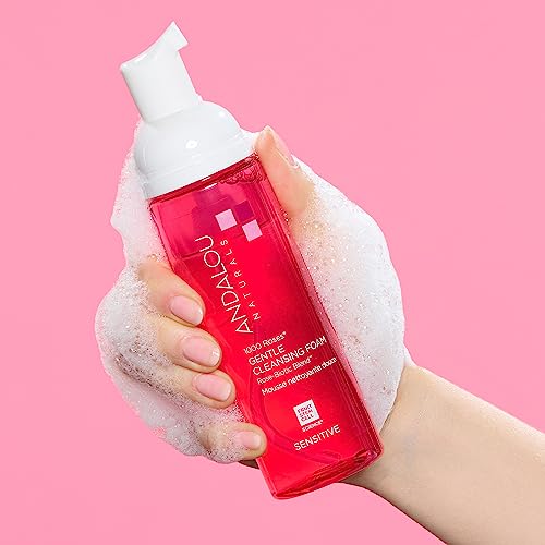 Andalou Naturals Gentle Cleansing Foam - Hydrating Rose-Biotic Blend, Soothes & Protects - 6.7oz