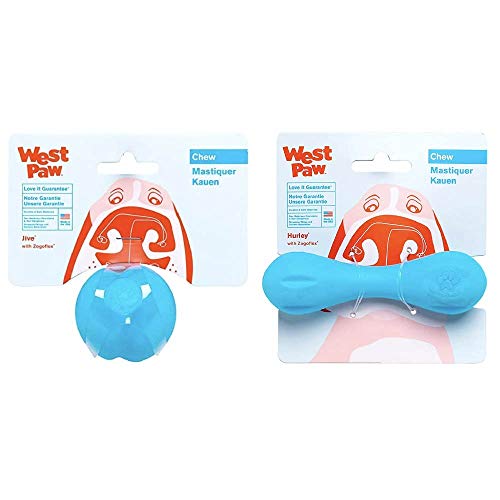 WEST PAW Dog Chew Toys - Durable, Safe, Recyclable, High Bounce for Fetch - Aqua, 2-Inch & X-Small