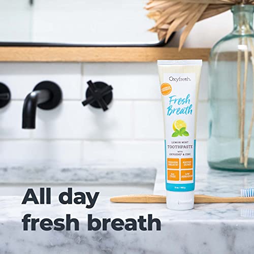 Oxyfresh Toothpaste - Fresh Breath & Clean Teeth, Natural Oils & Xylitol, Fluoride Free - 5oz