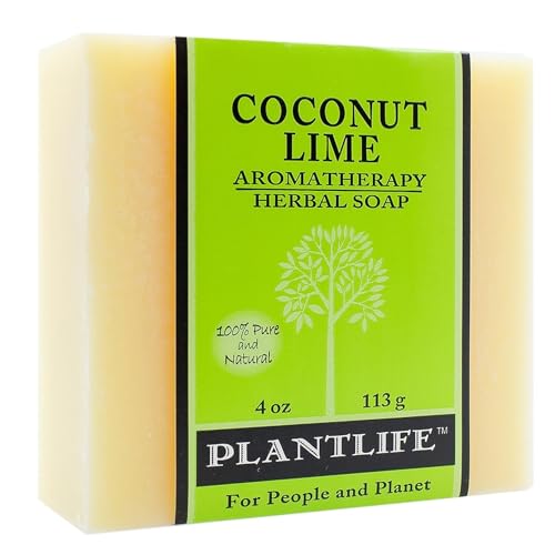 Plantlife Coconut Lime Bar Soap - Moisturizing, Handcrafted with Plant-Based Ingredients - 4oz