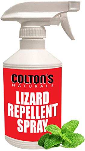 Colton's Naturals Lizard Repellent - 100% Natural Peppermint & Cinnamon Spray - 32oz