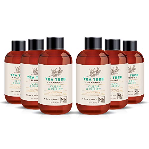 Soapbox Tea Tree Shampoo - Clarifying Formula, Promotes Scalp Health - 3.3oz Travel Size, 6 Ct