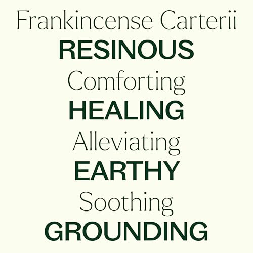 Plant Therapy Frankincense Carteri Essential Oil - Boost Immunity, 100% Pure, 10 mL