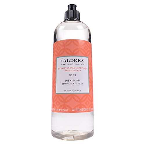 Caldrea Dish Soap - Tough on Grease, Plant-Derived, Rechargeable - Tangelo Palm Frond, 16oz